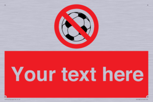 Custom No Ball Games Sign